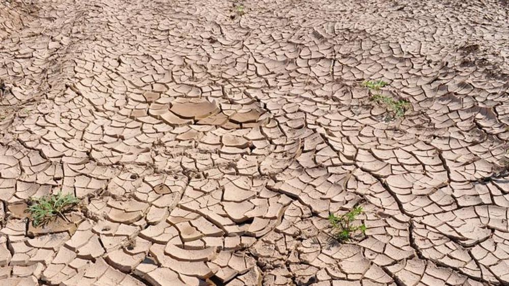 Sécheresse. © Pixabay